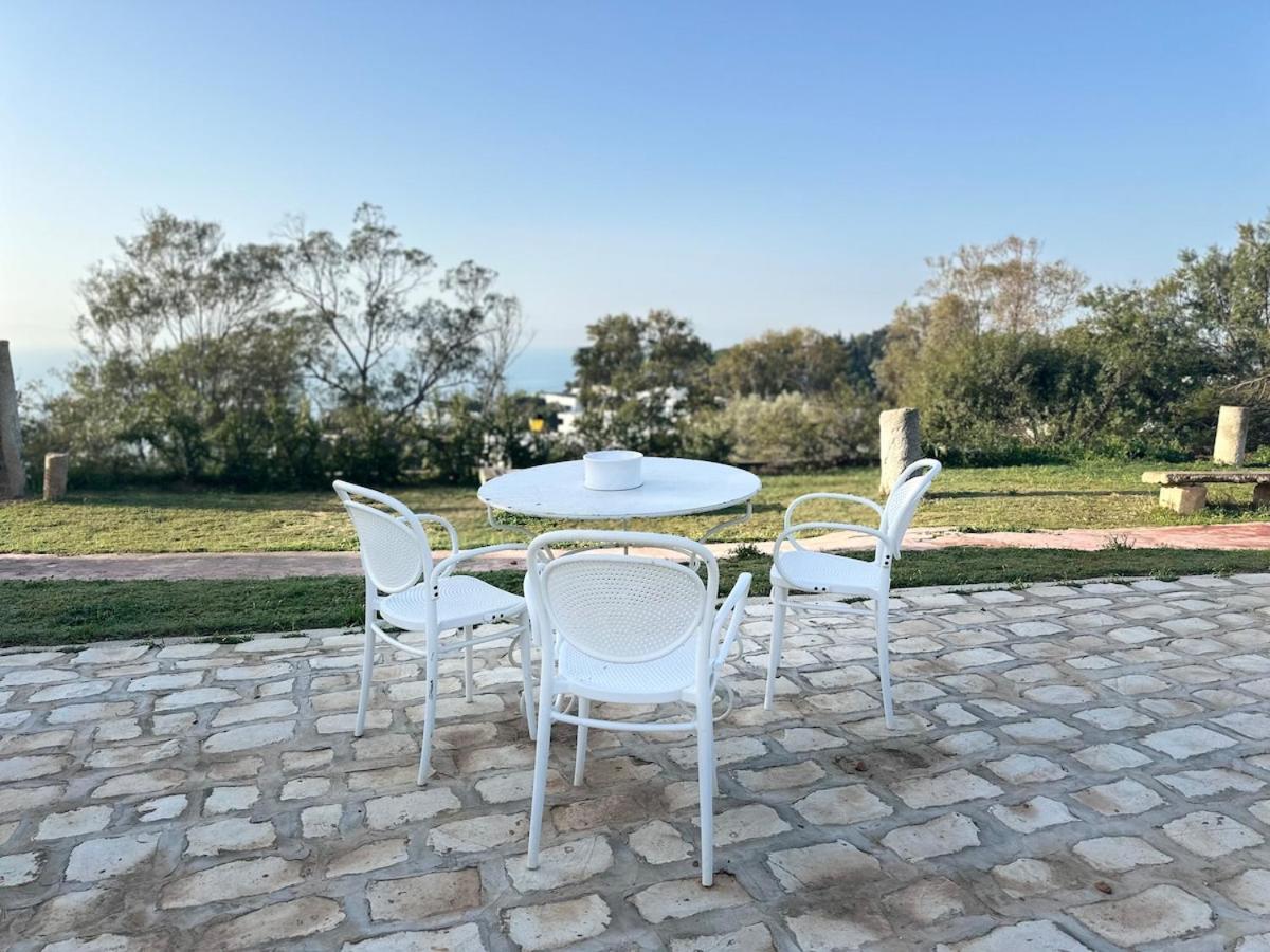 Apartment L'atelier Hedi Turki, Breakfast & Pool Sidi Bou Said Tunis