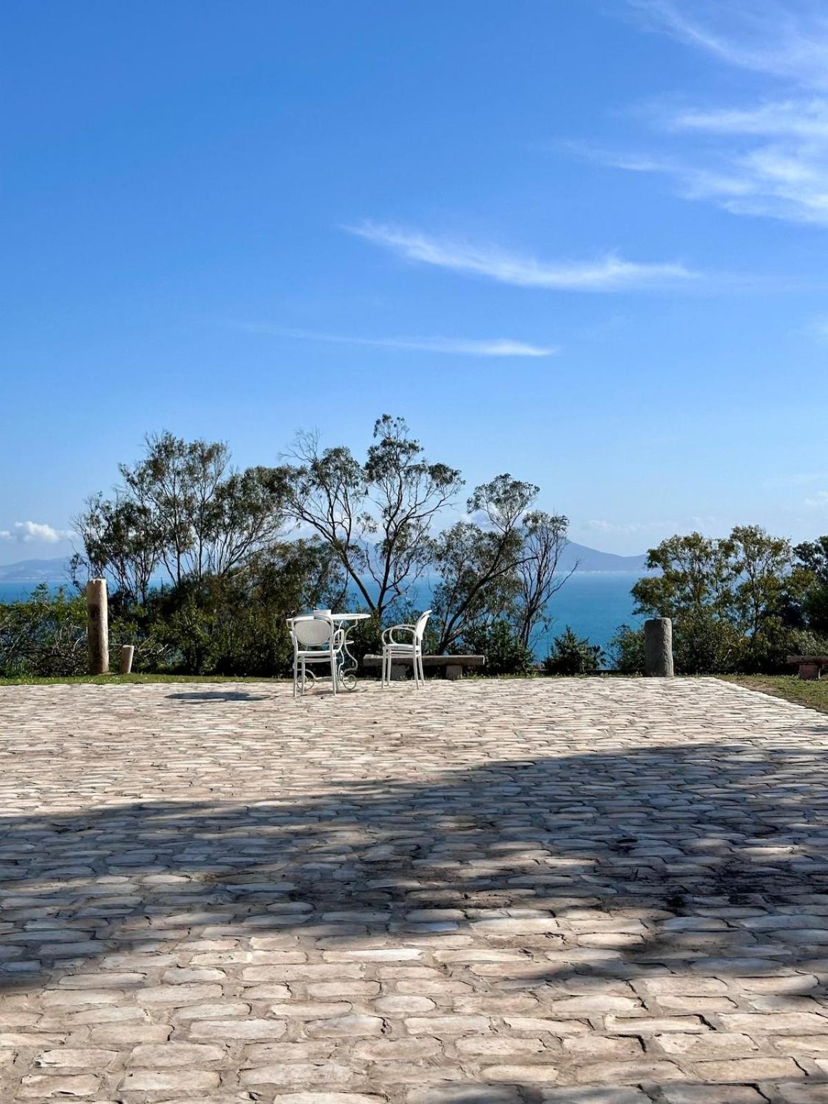 L'atelier Hedi Turki, Breakfast & Pool Sidi Bou Said *